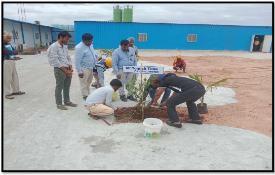 Plantation in Ieeza Camp