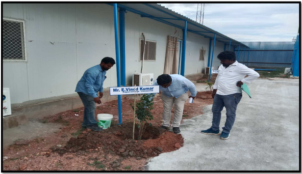 Plantation in Ieeza Camp