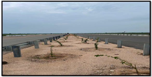 Median Plantation and MBCB at Ch 232+000 to 232+500 